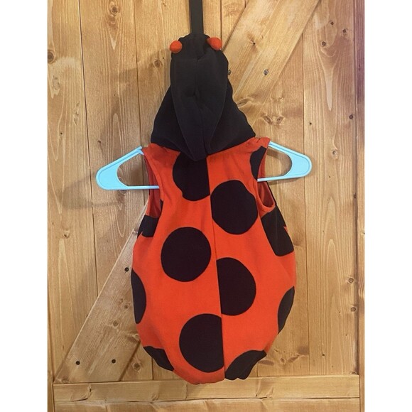 Carter’s Ladybug Costume 24M Toddler Halloween Outfit Antennae Cute - Picture 2 of 3